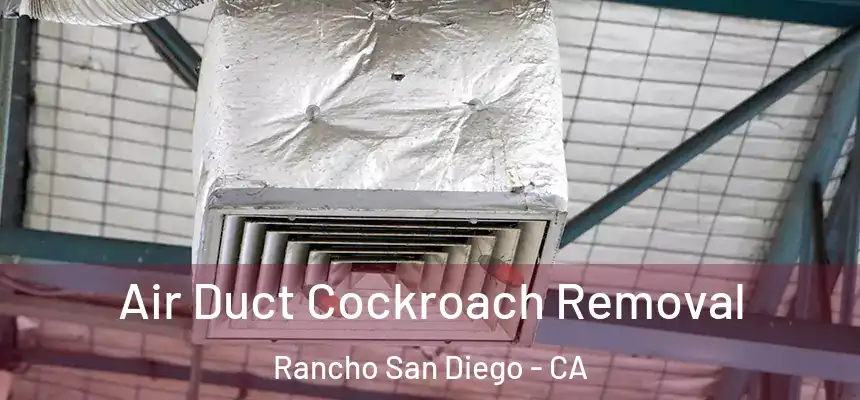  Air Duct Cockroach Removal Rancho San Diego - CA
