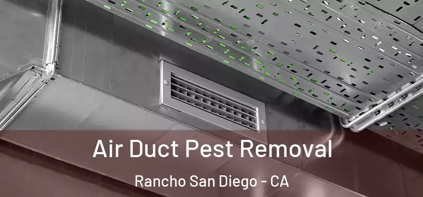  Air Duct Pest Removal Rancho San Diego - CA