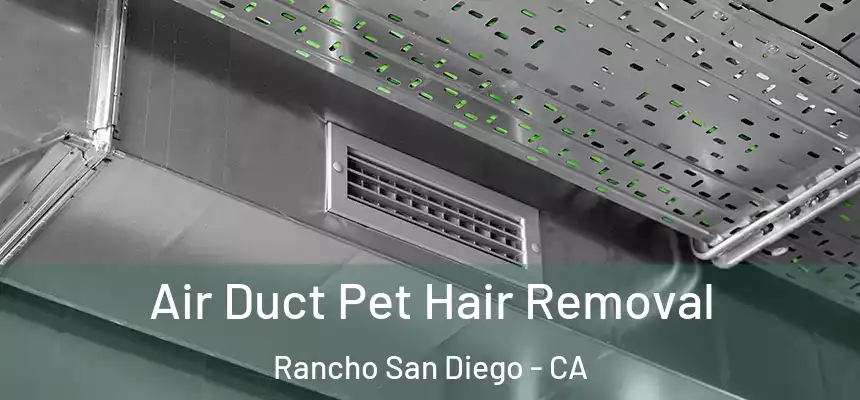  Air Duct Pet Hair Removal Rancho San Diego - CA