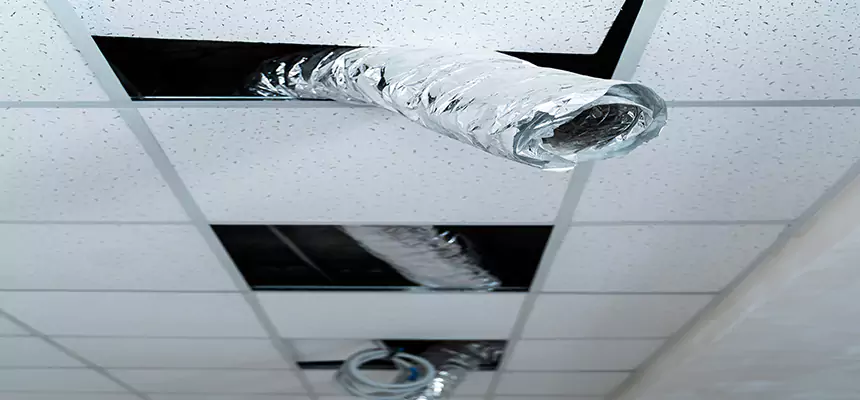 Affordable HVAC Sanitizing After Pest Removal in Rancho San Diego