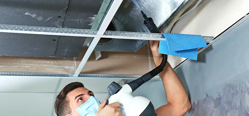 Our Air Duct Rodent Removal Services in Rancho San Diego, CA