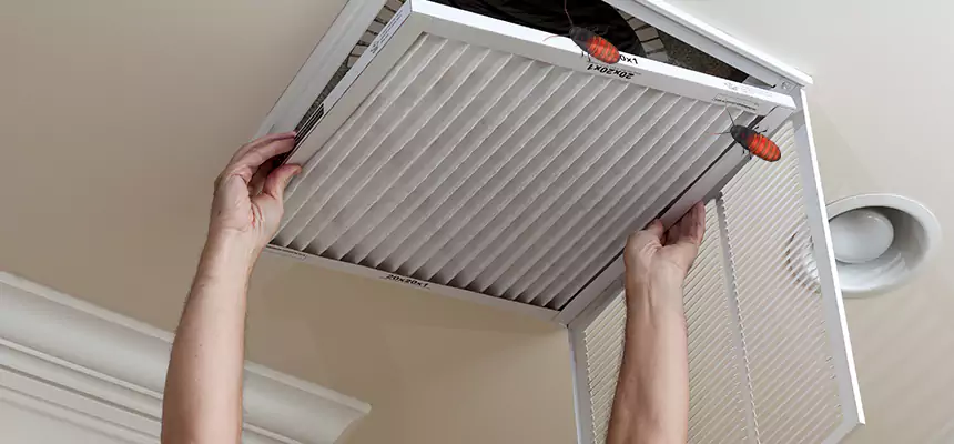 Our Insect Removal from Air Ducts Services in Rancho San Diego, CA