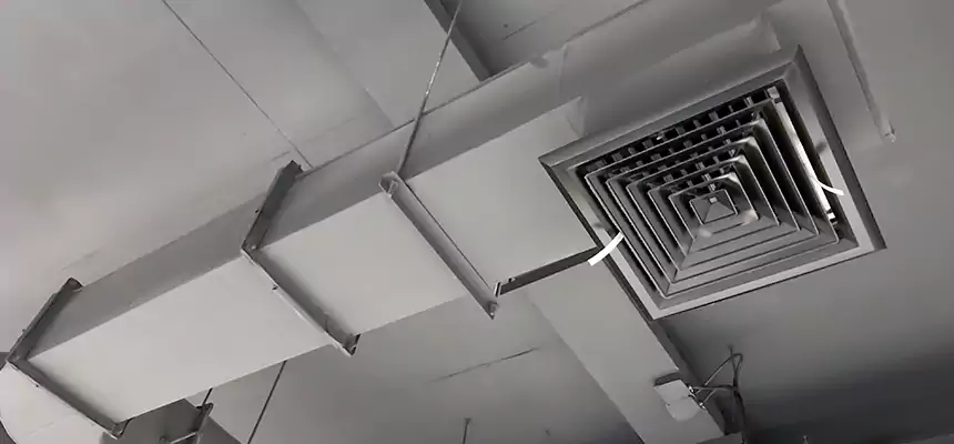 Our Pest Removal From Ducts Services in Rancho San Diego, CA