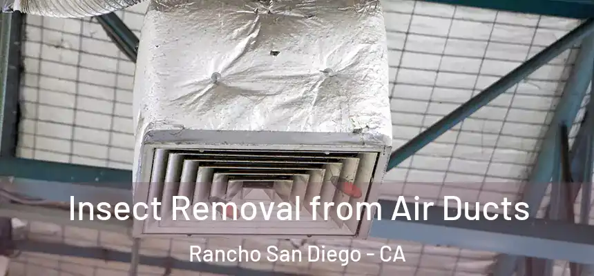  Insect Removal from Air Ducts Rancho San Diego - CA