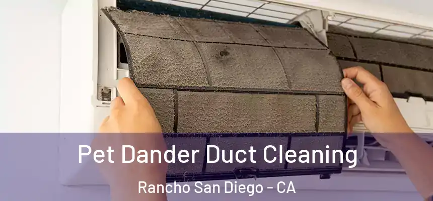  Pet Dander Duct Cleaning Rancho San Diego - CA