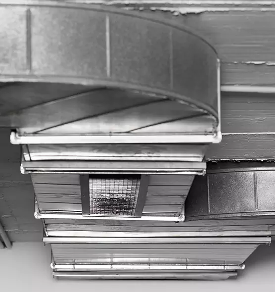 Professional Air Duct Pest Removal in Rancho San Diego, CA