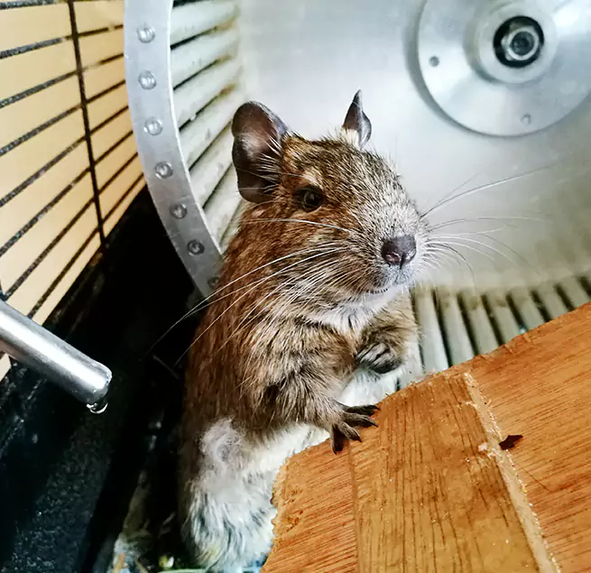 Why Homeowners & Businesses Trust Us Rancho San Diego, CA?