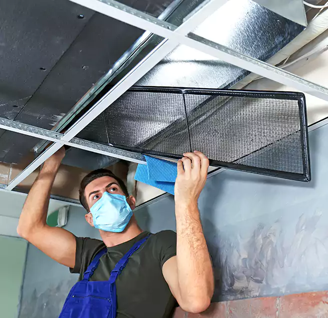 Why Homeowners Businesses Trust Us in Rancho San Diego, CA