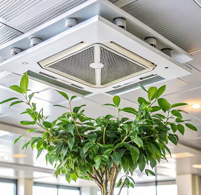 Why Homeowners & Businesses Trust Us in Rancho San Diego, CA?