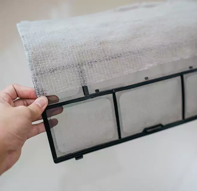 Why Homeowners & Businesses Trust Us in Rancho San Diego, CA?